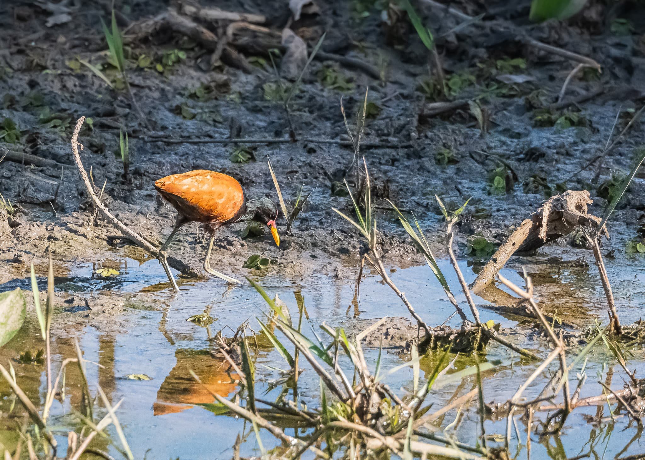 Searching the Water's Margin