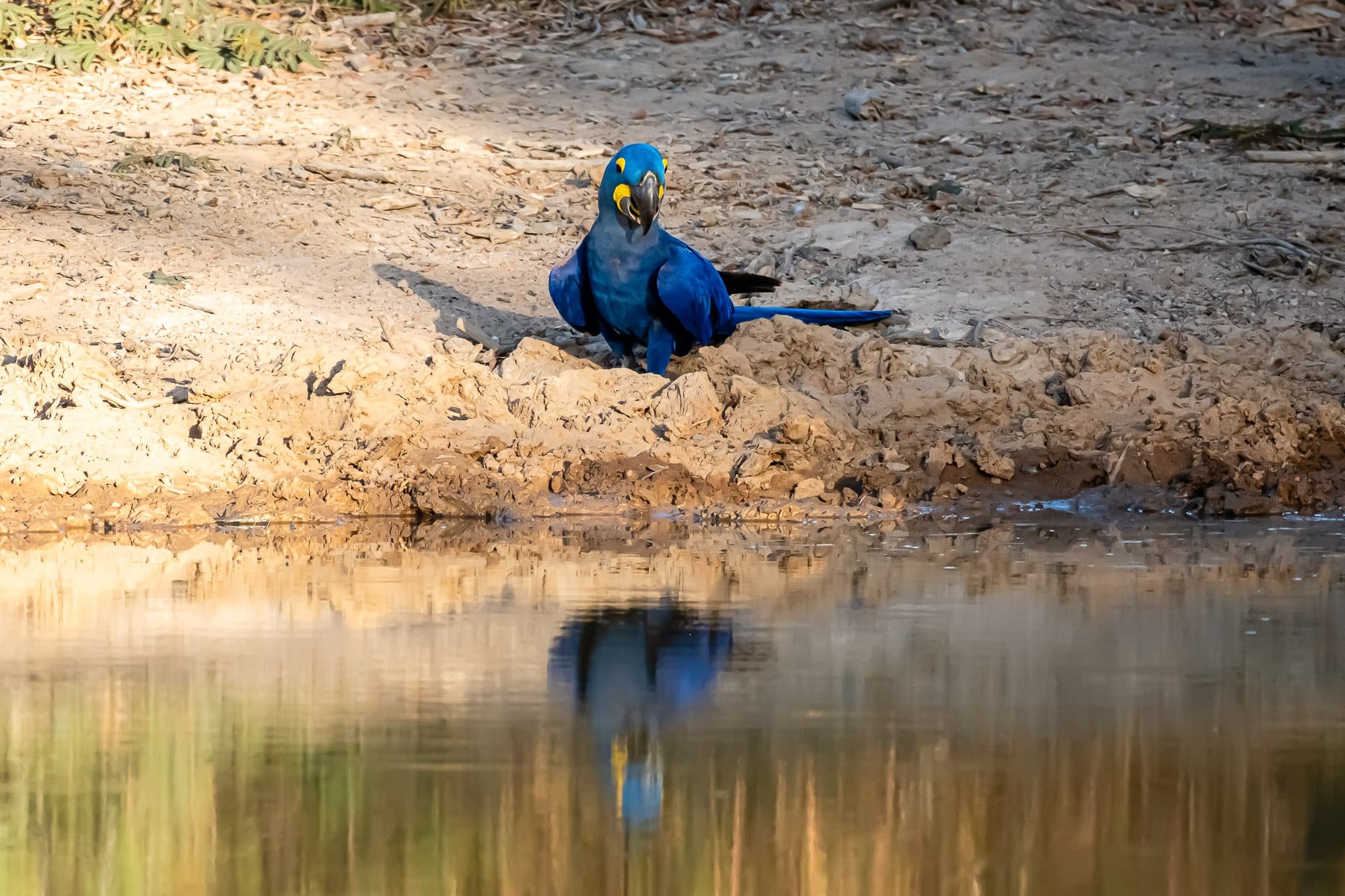 A Moment at the Water's Edge
