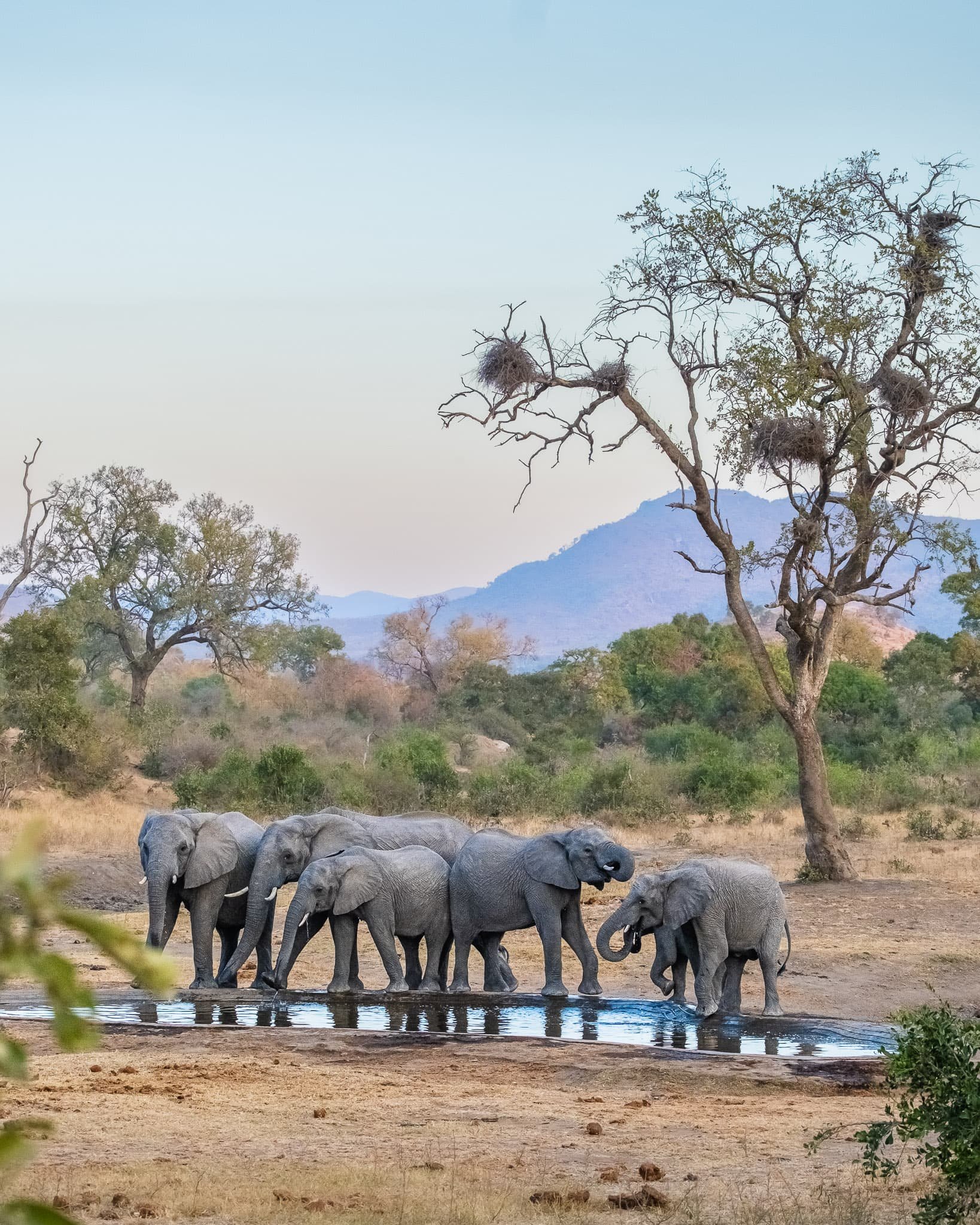 Family Gathering, Dry Season